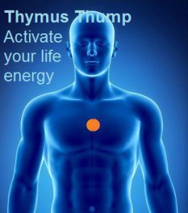thymus