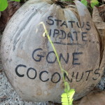 Gone Coconuts!